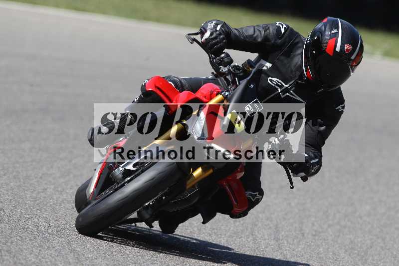 /46 11.08.2025 PADDYS-RACES-DAYS ADR/Sport-Profi/5